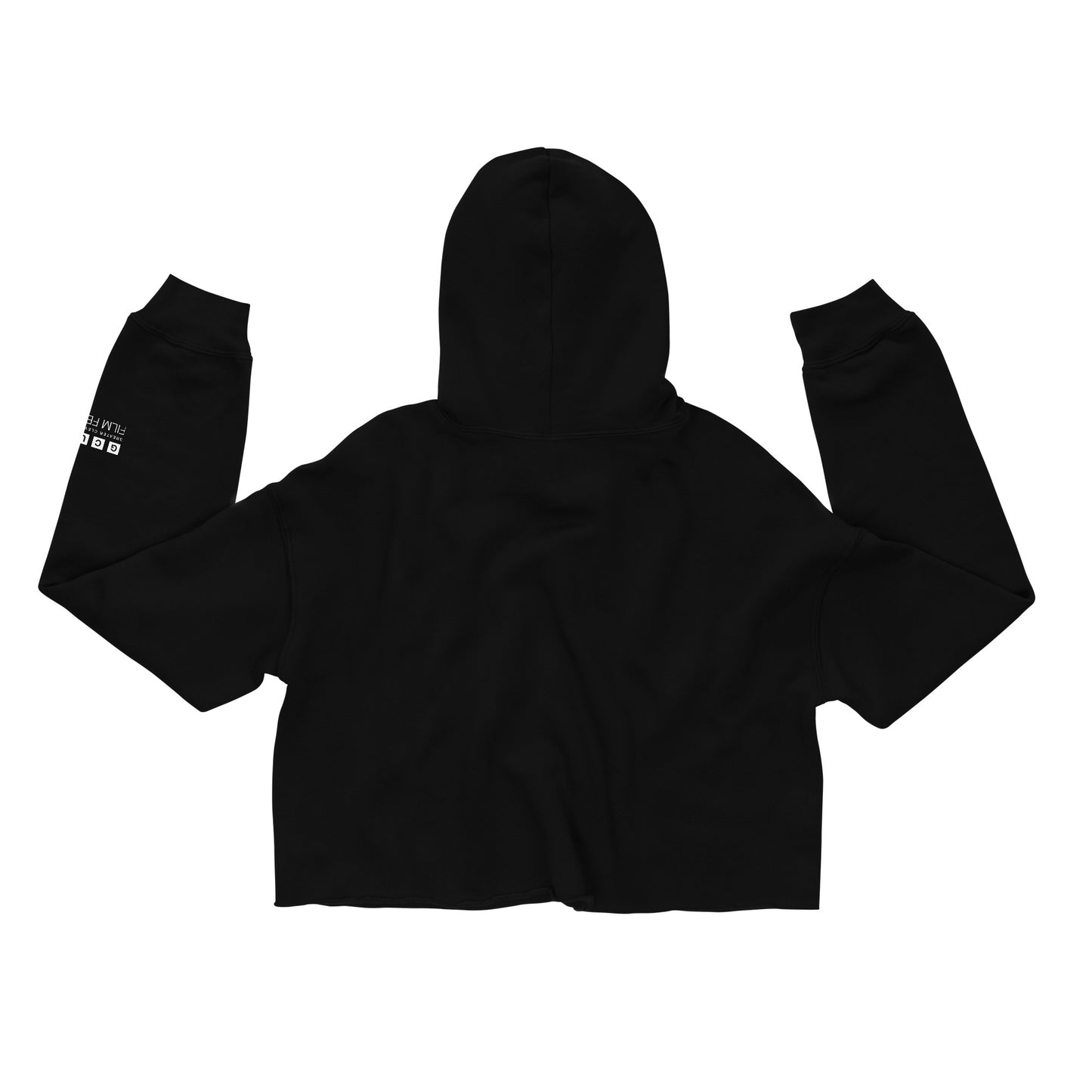 Culture Unlocked Cropped Hoodie
